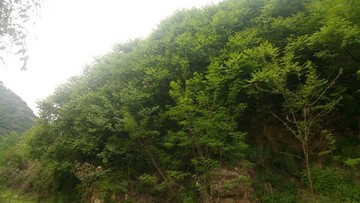 山峰