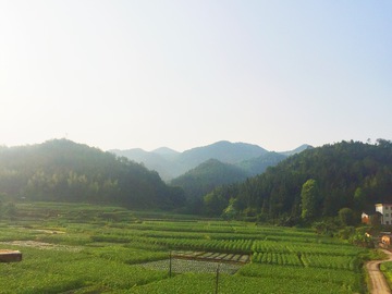 农村早晨