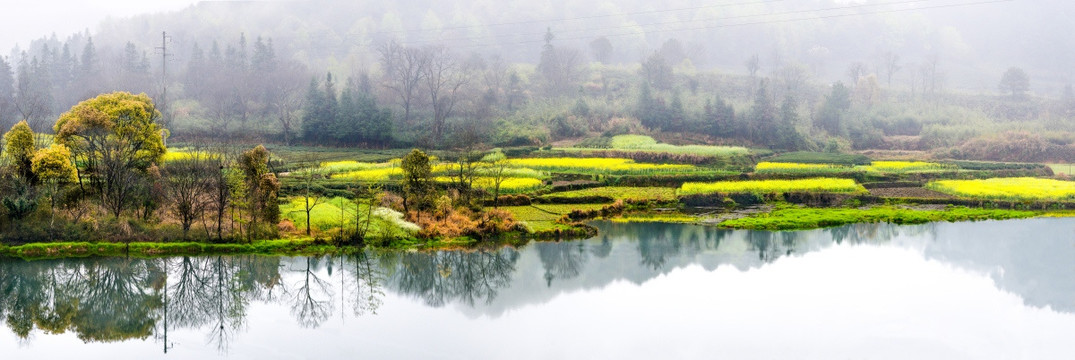 宽幅河岸油菜风景