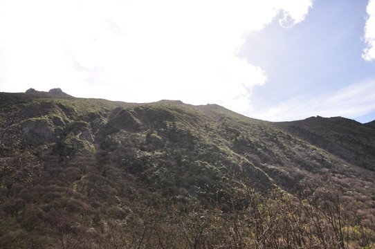 山