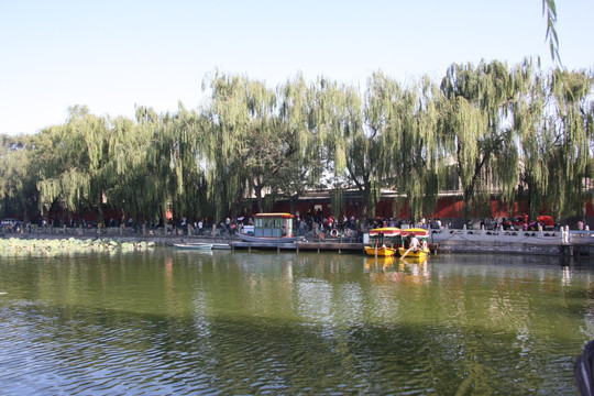 景山公园风光
