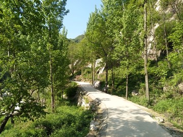 山间小路