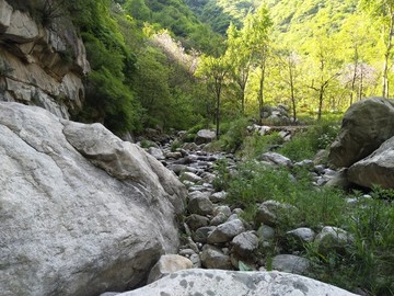 山崖