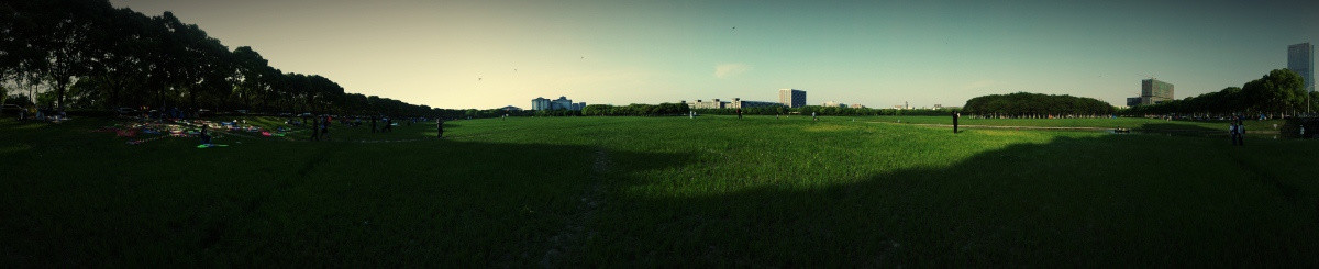 草坪全景图