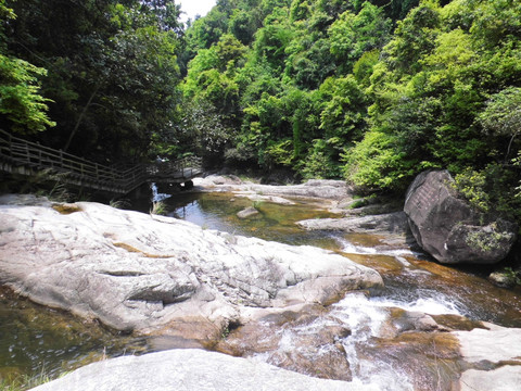 武平梁野山