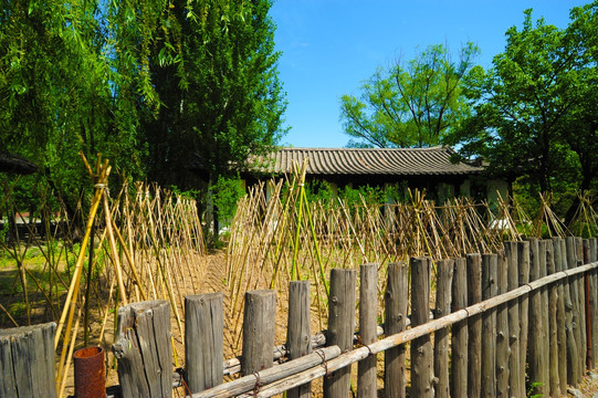 朝鲜族农家小院