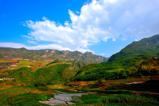 高山田园风光