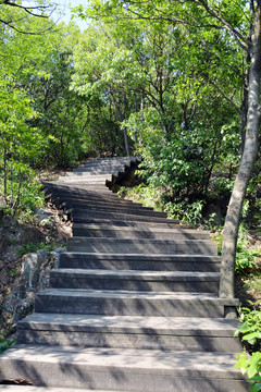 爬山山路