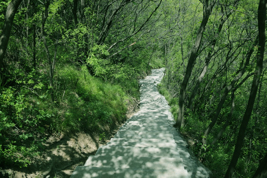 山路