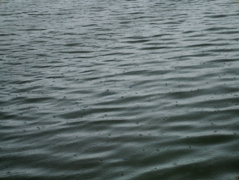 下雨的湖面