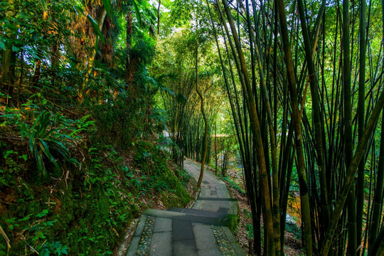 康道