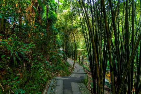康道
