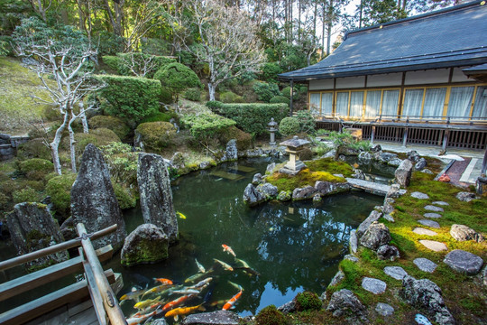日本高野山一乘院庭院池塘