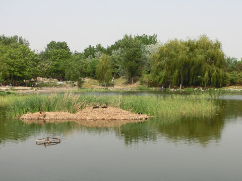 圆明园景色