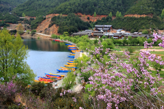 大山脚下