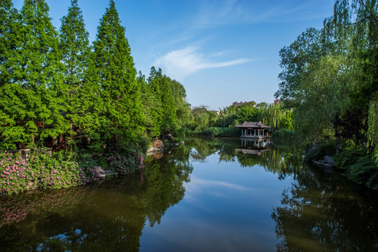 大明湖的早晨