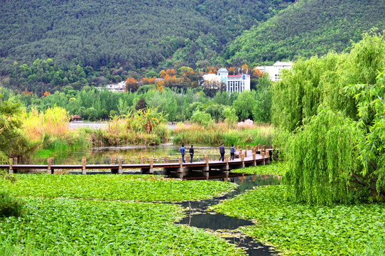 西昌湿地公园