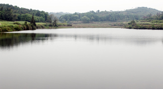 湖泊池塘 纯天然水源 自然风光