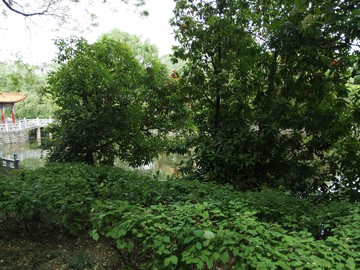 东湖