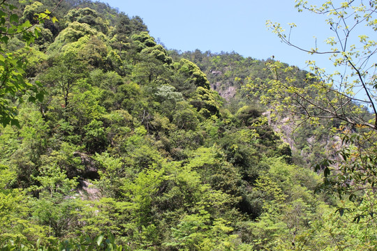 临安大明山