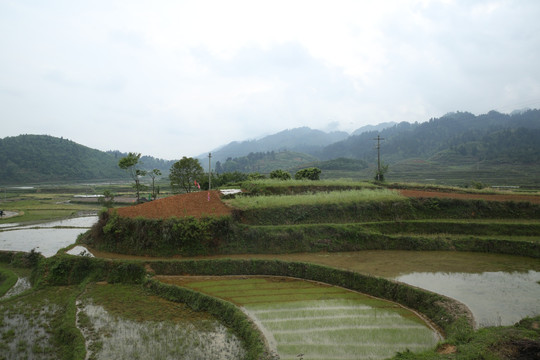 凯阳田野素材