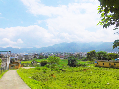 绿色农村