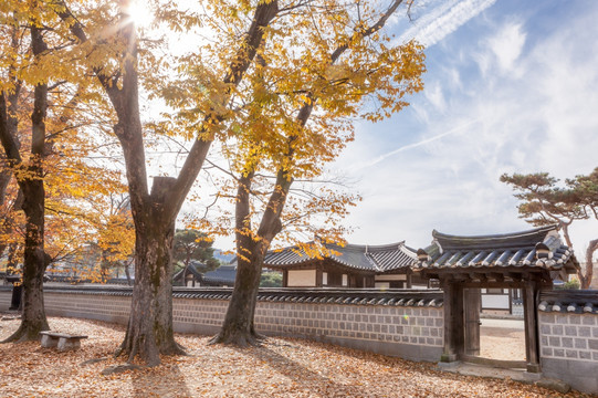 韩国 全州 全州韩屋村 秋