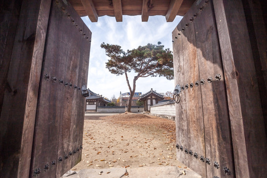 韩国 全州 全州韩屋村 秋