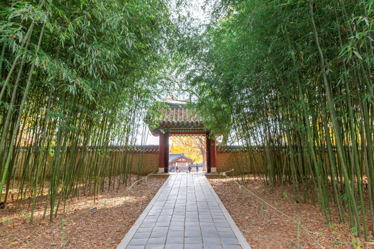 韩国 全州 全州韩屋村 秋
