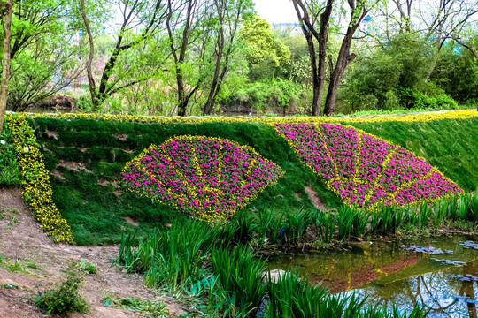 花圃 扇形花坛