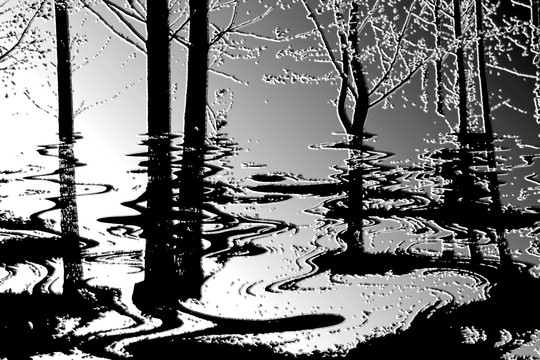 水墨画 树林水面倒影