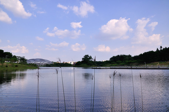 广州大学城中心湖
