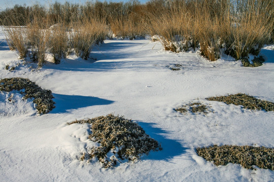 雪地雪景