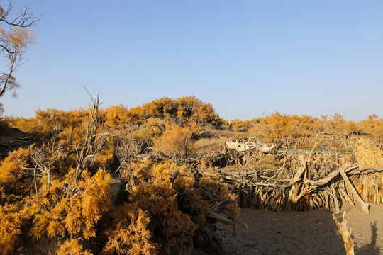 内蒙古阿拉善沙漠国家地质公园