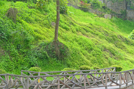 小河岸边 栏杆 山坡 草地