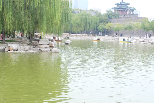 公园