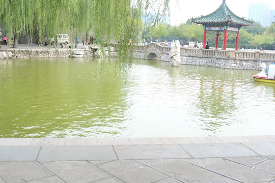 公园