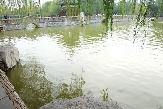 公园