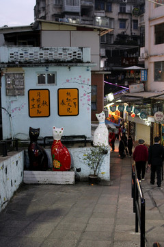 厦门 顶澳仔 猫街 夜景