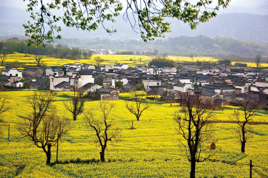 婺源宏村