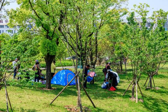 公园露营 植物园 公园 造景