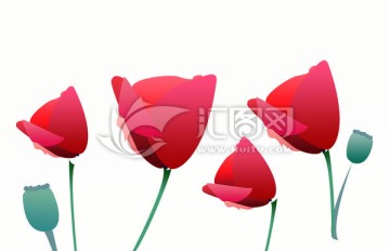 红花 罂粟花