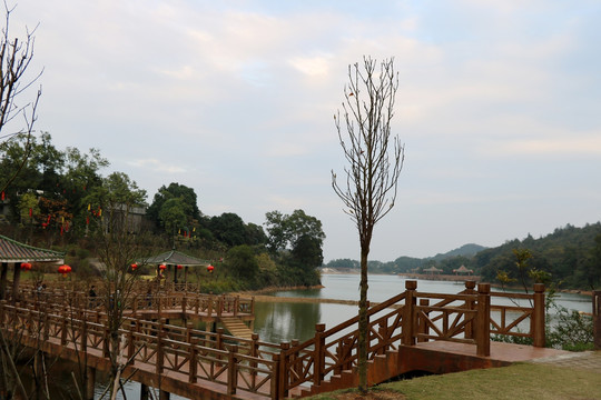 圭峰山绿护桃源景区