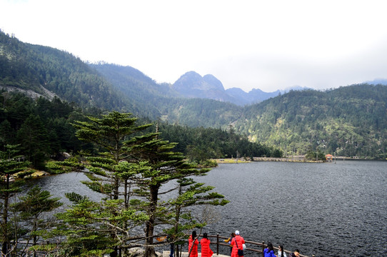 螺髻山黑龙潭风光