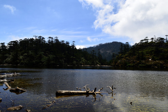 螺髻山黑龙潭公园
