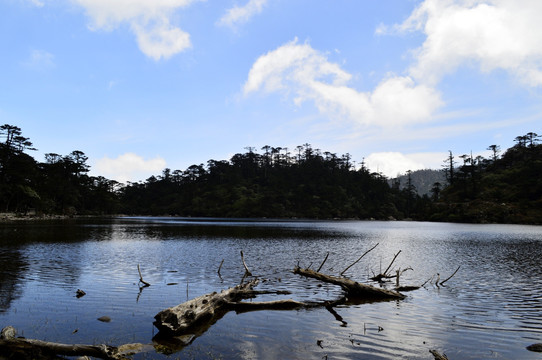 螺髻山黑龙潭公园