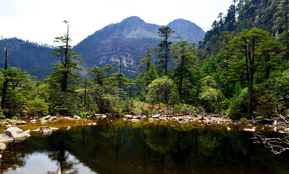 螺髻山黑龙潭公园