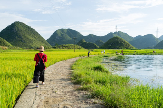 乡间小路