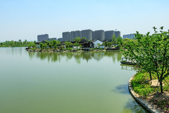 宁波植物园 湖水 水池绿树