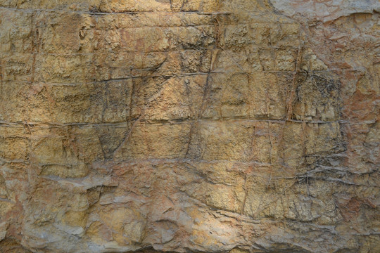 石纹 石墙